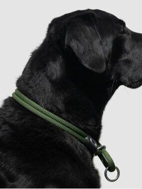 Gently used  Atlas Lifetime Slip Collar  18-22"  for Large Dogs